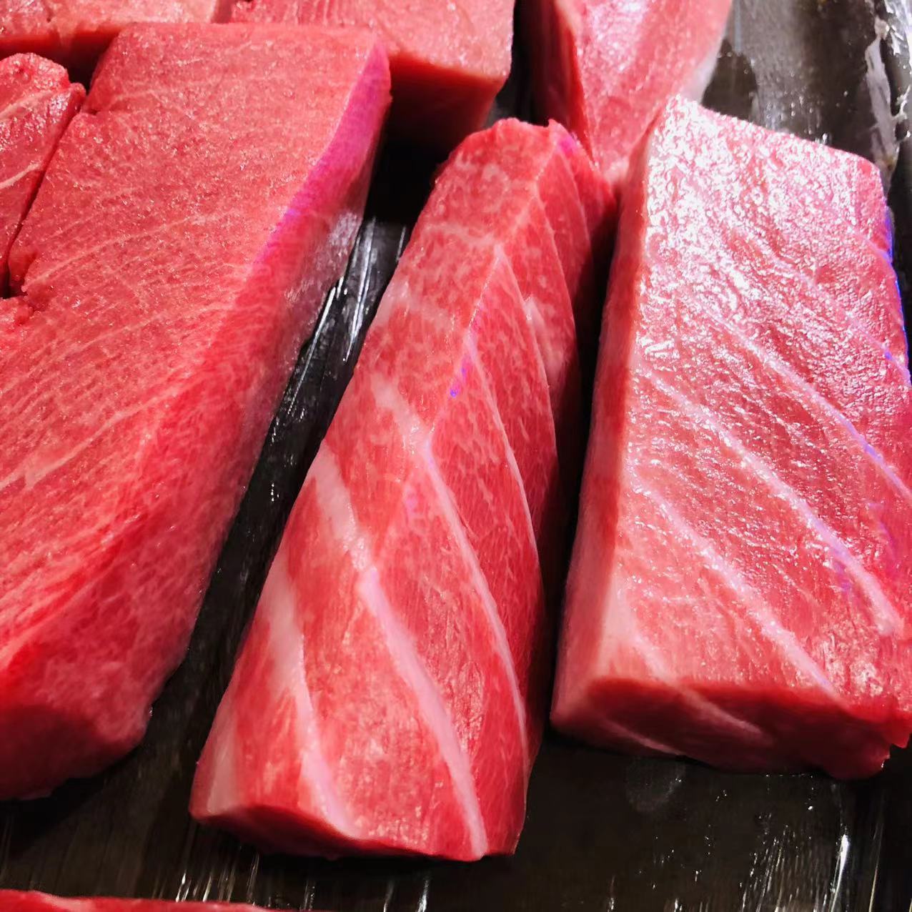 蓝鳍金枪鱼拍卖创纪录！天价51亿日元引发热议