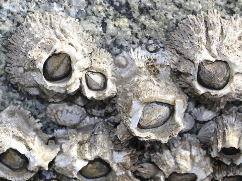 百万网红被曝染艾滋病晒检测报告自证清白有网友质疑其p图(图1) 百万网红被曝染艾滋病晒检测报告自证清白有网友质疑其p图