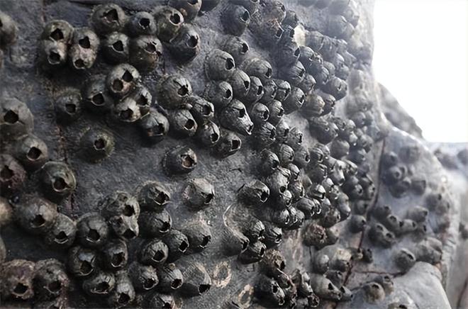 顶尖航母未服役已生锈?国产质量遭全网质疑专家解释另有原因(图21)