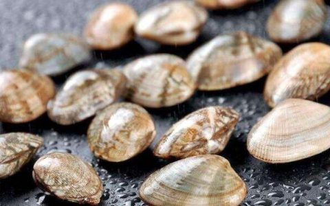 儒商汇智启新程 深蓝逐梦谱华章