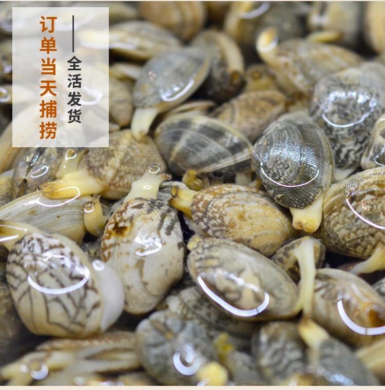 高端海鲜“老炮儿”开始扎堆做小火锅