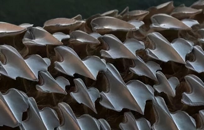 青岛四天计划消费海军军事博物馆玩4天3晚详细行程