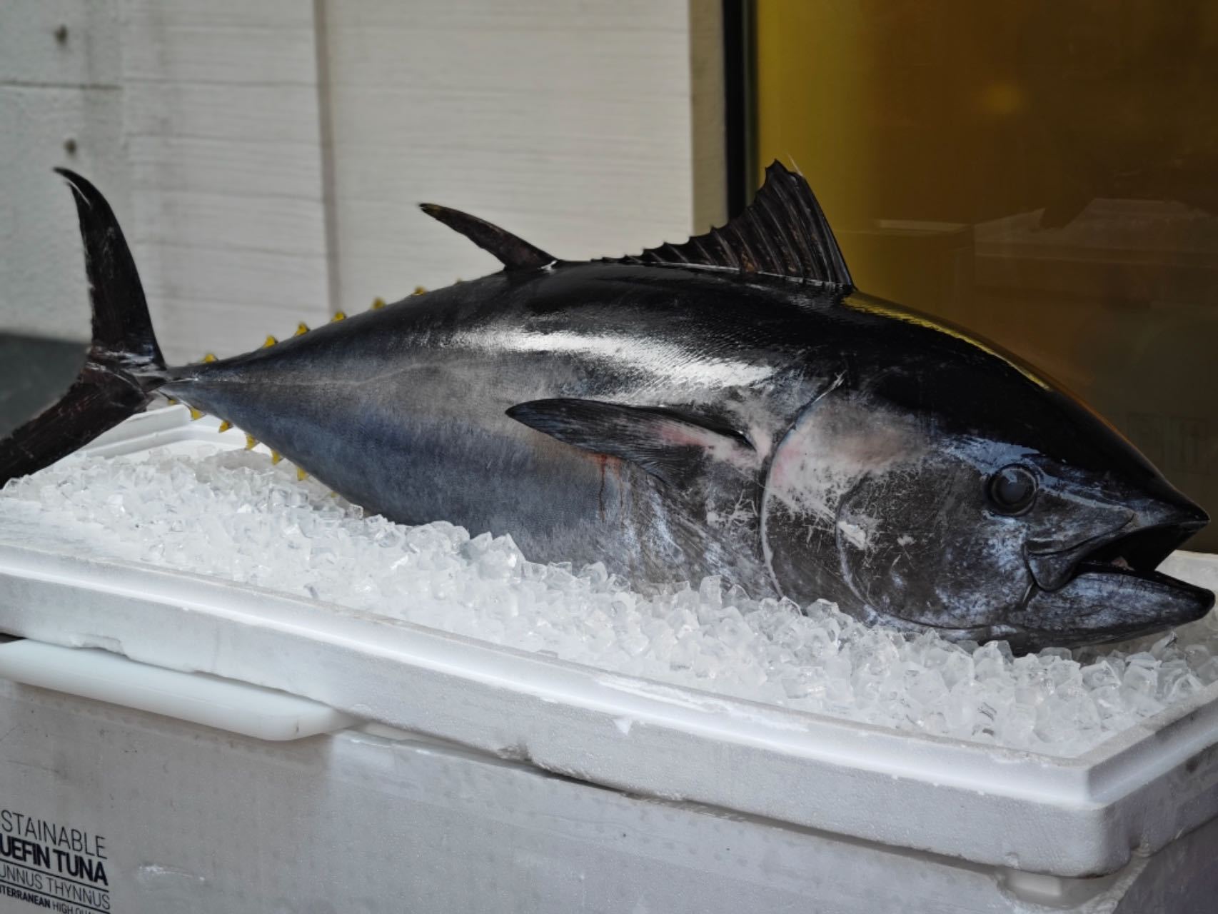 山东新闻联播_山东卫视_山东网络台_齐鲁网