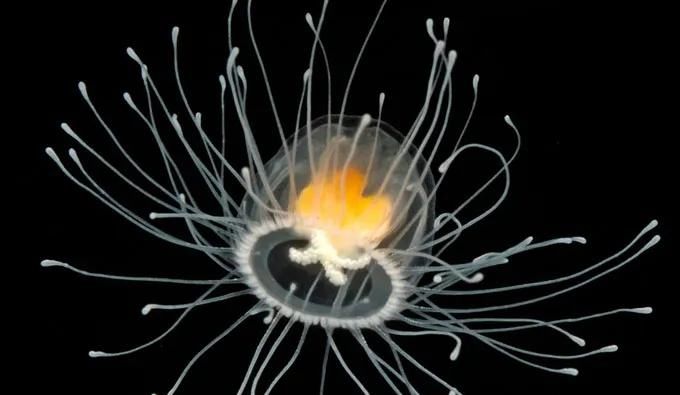 《中国科学D辑：地球科学》：全国湿地分布遥感制图完成