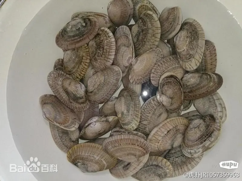 花甲的价格怎么相差这么大?有10块一斤的40一斤的。(图1)