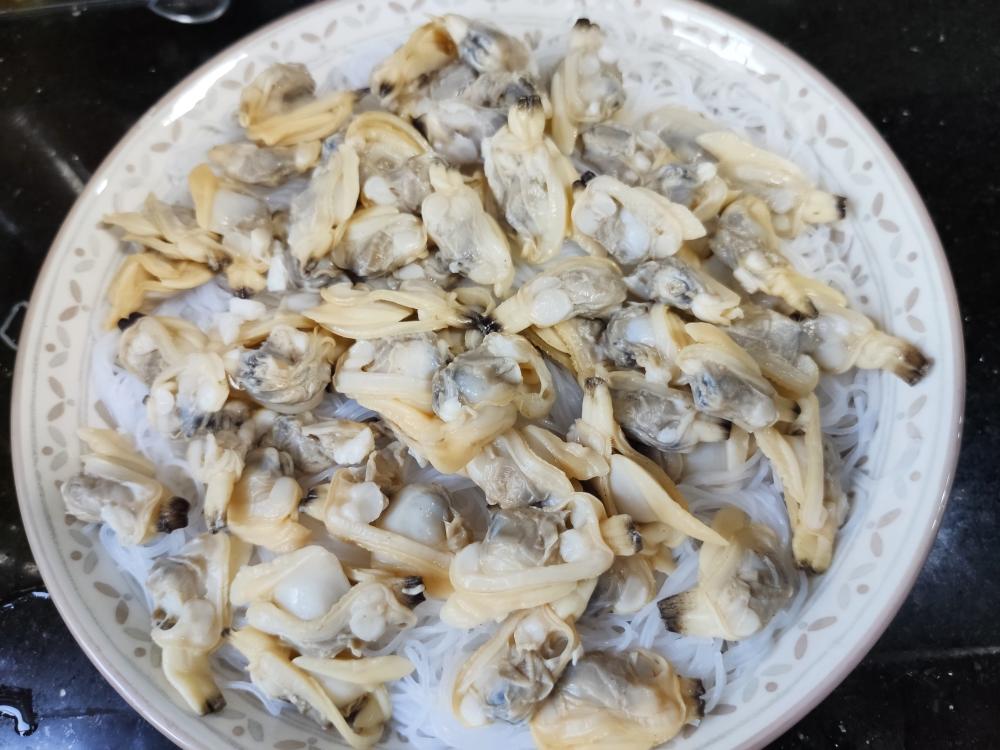 【蒲湖新语】海味满集迎马年 烟火惠民启新程——山东海洋大集的深层价值与时代担当