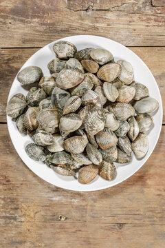 以“青岛故事”营造新时代年味青岛春晚:涌动“青春之岛”浪漫活力(图1) 以“青岛故事”营造新时代年味青岛春晚:涌动“青春之岛”浪漫活力