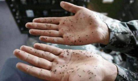 4月上市!全新雷克萨斯ES提供25L混动纯电你会怎么选?(图1) 4月上市!全新雷克萨斯ES提供25L混动纯电你会怎么选?