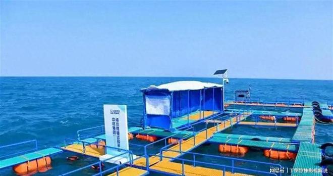 真能向大海要铀!我国已实现海水公斤级铀提取再也不怕卡脖子了(图1)