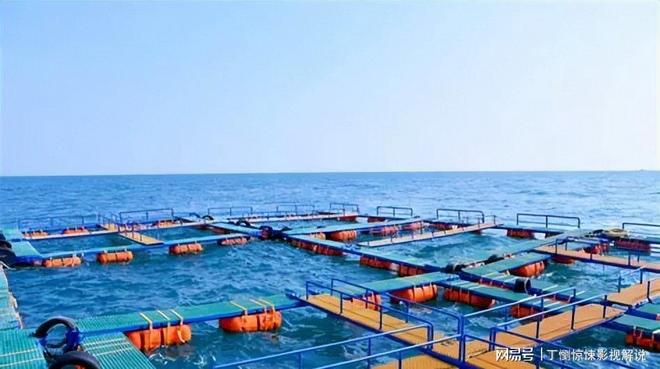 真能向大海要铀!我国已实现海水公斤级铀提取再也不怕卡脖子了(图8)