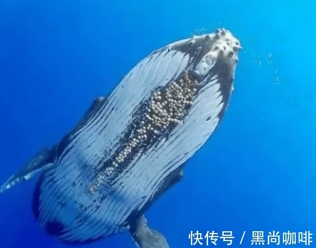 品味“世界杯”中的文化