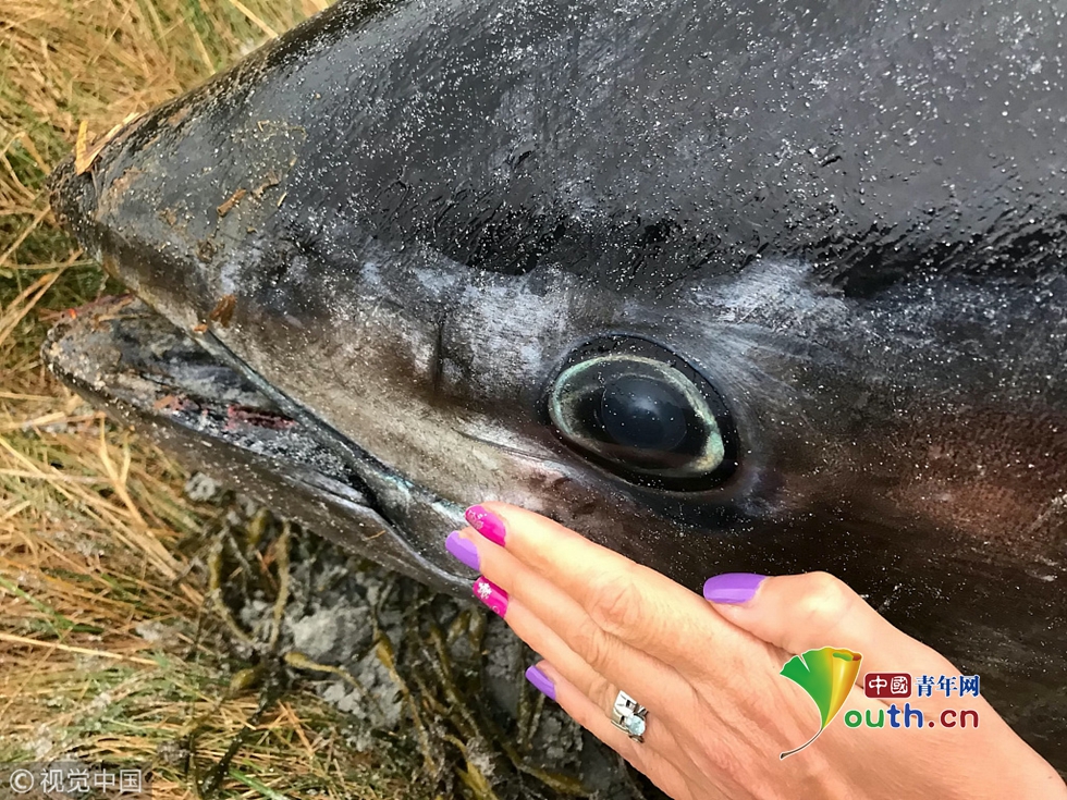 【丰田标志】丰田车标图片及含义【图】_日本汽车标志_太平洋汽车网