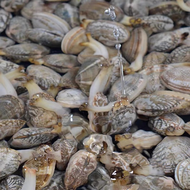 熬夜整理的厦门旅游攻略！针对3月气候设计的厦门旅游深度玩法吃住行全含避免被坑就看完