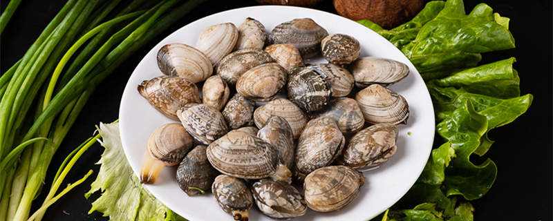 新四军在阜宁的故事一一陈毅托子