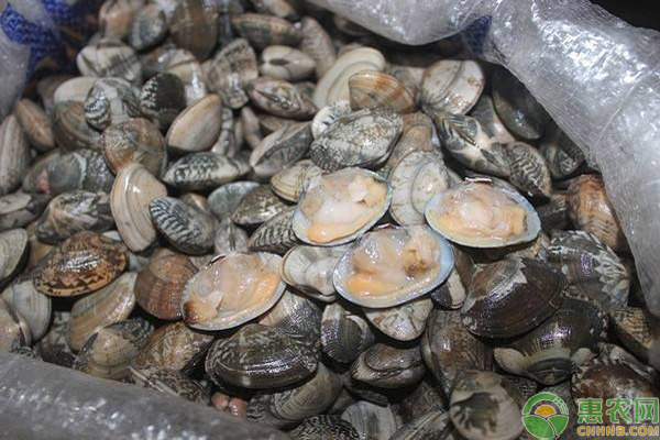 大年初五海口全家出游好去处