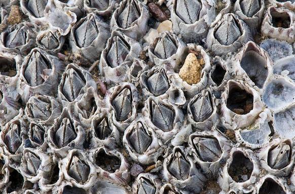 一周展讯｜多场重要展览进入闭幕倒计时请勿错过