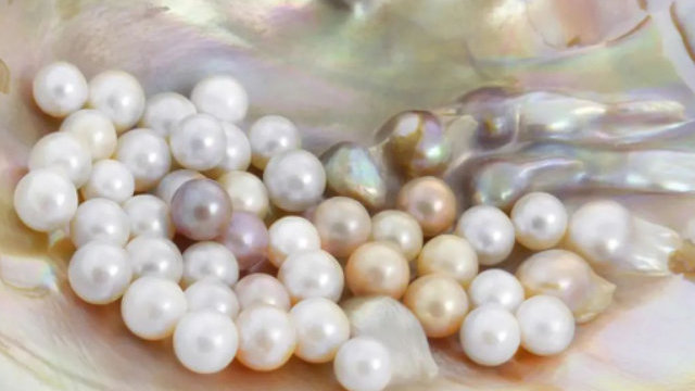 鳍源科技申请水下设备控制舱专利显著提升设备可靠性、安全性和任务执行效率