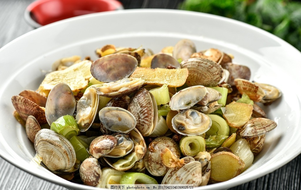 蛤蜊和花甲是不是一样的