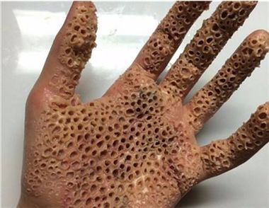 哪些现实中的武器装备能够对付奥特曼世界中的怪兽？