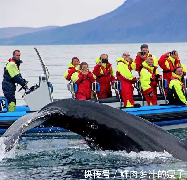 中国汽车史上最豪华朋友圈