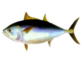 朋友圈最新资讯-快科技--科技改变未来