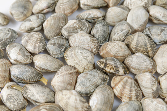 避坑指南｜青岛不踩坑旅行社选择资深老牌信誉佳真纯玩无购物攻略