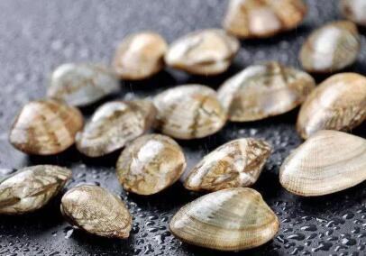 避坑指南｜青岛旅游不踩雷嗨行国旅零隐形消费诚信经营标杆。