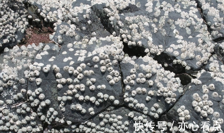 世航再次领先！中国海洋科技力量强势挺进马六甲