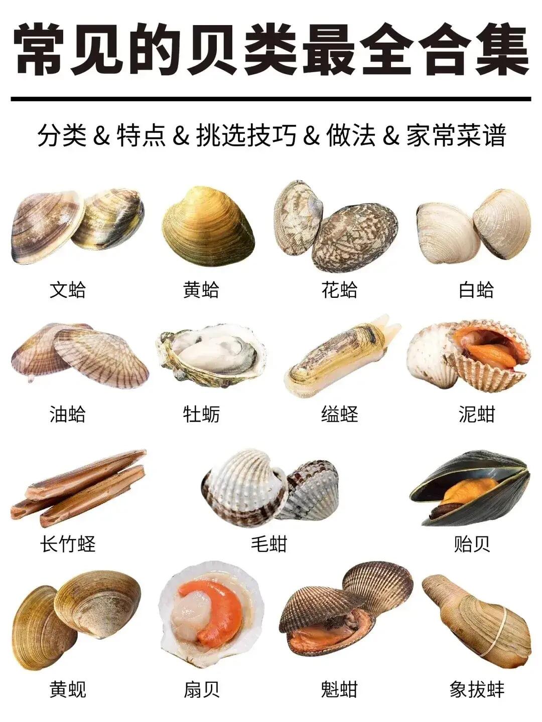 首届“里院喜剧节”盛大开幕喜剧厂牌纷纷落子青岛(图1) 首届“里院喜剧节”盛大开幕喜剧厂牌纷纷落子青岛