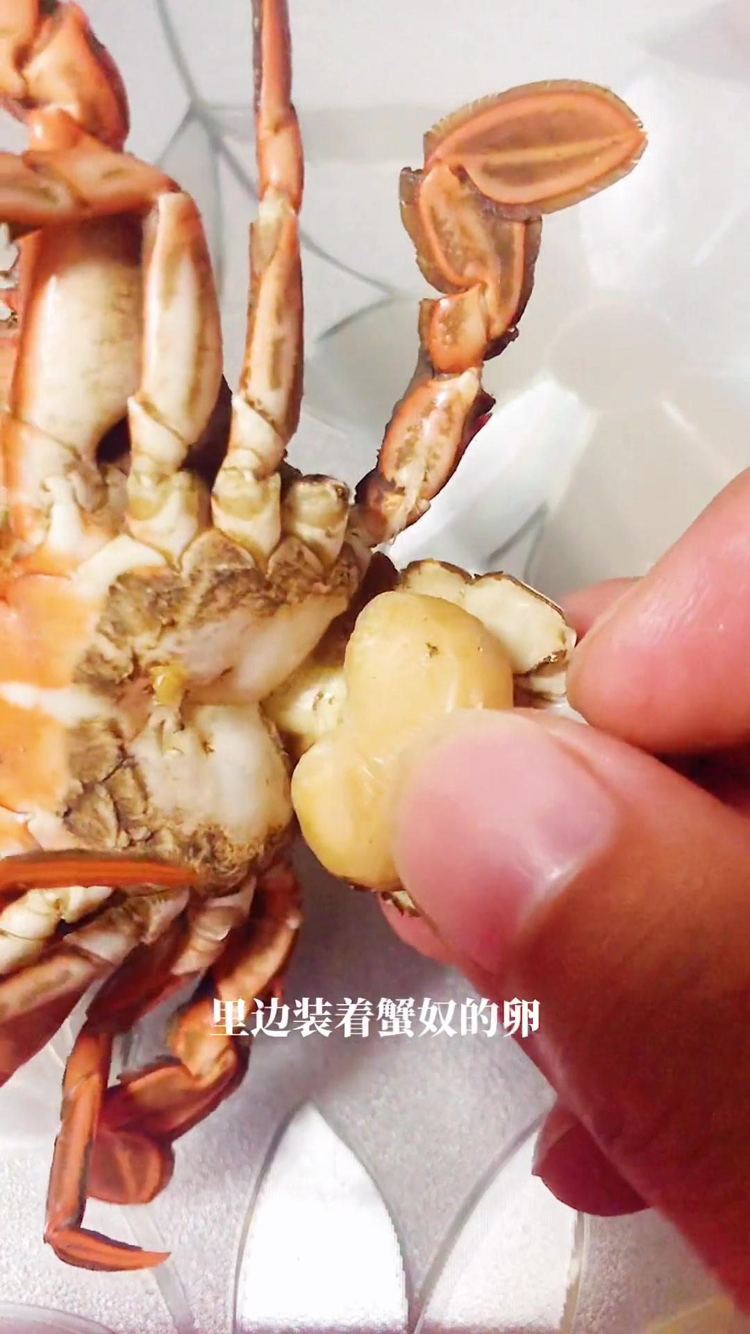 人吃了蟹奴有事吗(图1) 人吃了蟹奴有事吗