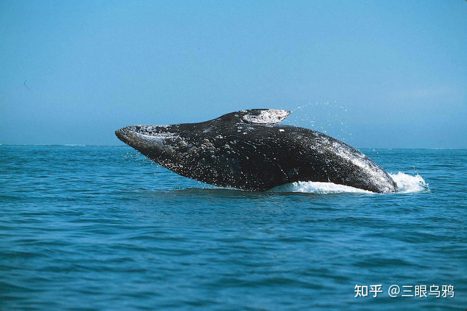航母有多难养？山东舰上几千人一天7顿饭难怪小国养不起航母