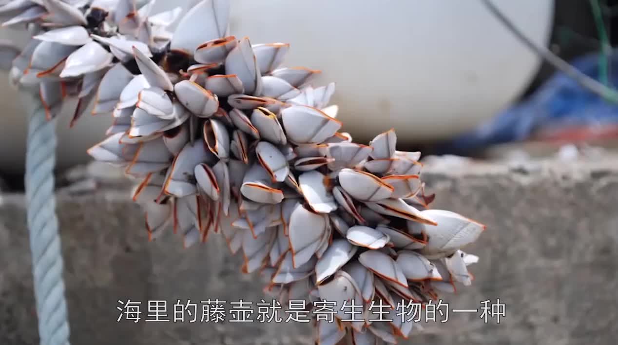证券频道-中国日报网(图1) 证券频道-中国日报网